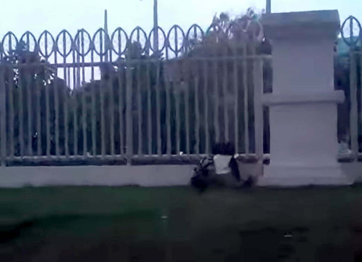 Beredar Video Asusila Pasangan Muda-mudi di Bogor, Ini Kata Satpol PP 1 asusila