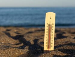 2 Pekan Dilanda Gelombang Panas Ekstrem, 13 Orang di Amerika Serikat Tewas