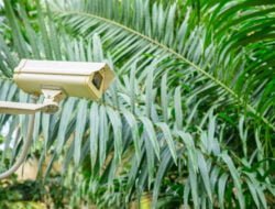 Berikut Ini Tempat Ideal Pasang CCTV di Rumah