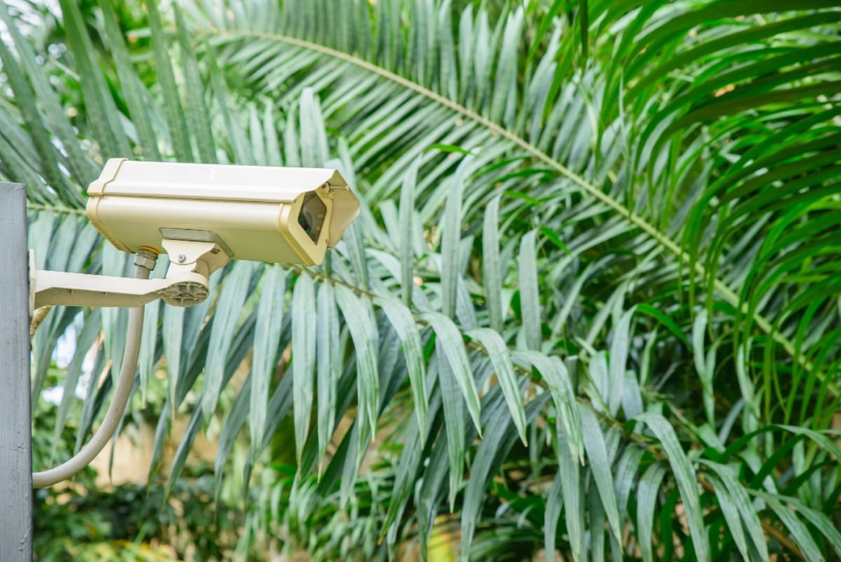 CCTV