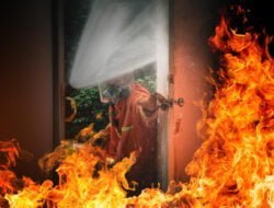 Mantan Karyawan Rumah Singgah Clow Bogor Ngamuk, Shelter Kucing Dibakar
