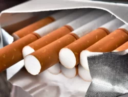 Jutaan Batang Rokok Ilegal Berbagai Merek di Padang Dimusnahkan Bea Cukai