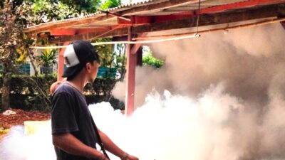 Cegah DBD, PEMDES Pamegar Sari Ajak Warga Berantas Sarang Nyamuk