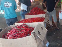 Jelang Idul Adha 1445 H Harga Bahan Pokok Relatif Stabil
