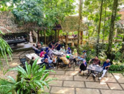 Alasse Coffee Tawarkan Sensasi Ngopi Bernuansa Seni dan Alam di Megamendung
