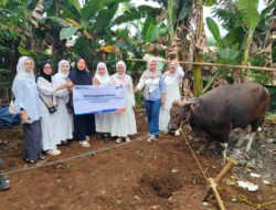 BRI Bogor Pajajaran Salurkan Bantuan Daging Bergizi Bagi Masyarakat di Momen Iduladha 1446 H