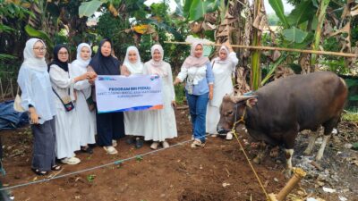 BRI Bogor Pajajaran Salurkan Bantuan Daging Bergizi Bagi Masyarakat di Momen Iduladha 1446 H 10 BRI