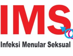 IMS Meningkat di Kalangan Muda, Netty Prasetiyani Desak Sinergi Lintas Kementerian