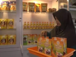 Dodol Pala dari Limbah Buah Jadi Oleh-oleh Baru Khas Ternate