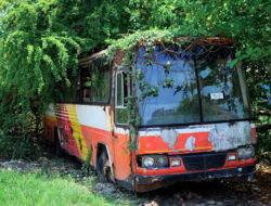 Larangan Study Tour Gubernur Jabar Bikin Pendapatan PO Wisata di BekasiTurun