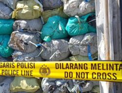 Bareskrim Polri Ungkap Tambang Batubara Ilegal di Kawasan Konservasi IKN
