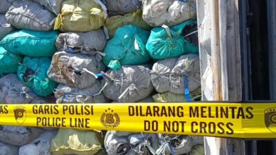tambang batubara ilegal