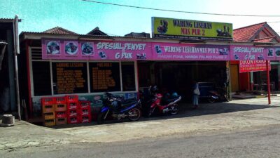 Undip
