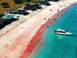 Pink Beach Labuan Bajo Dinobatkan Pantai Terindah Dunia 2025