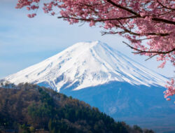 Aturan Ketat Pendakian Turunkan Kasus Kecelakaan di Gunung Fuji 44 Persen