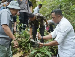 Batu Giok Raksasa 5.000 Ton Temukan Rumah Baru di Nagan Raya