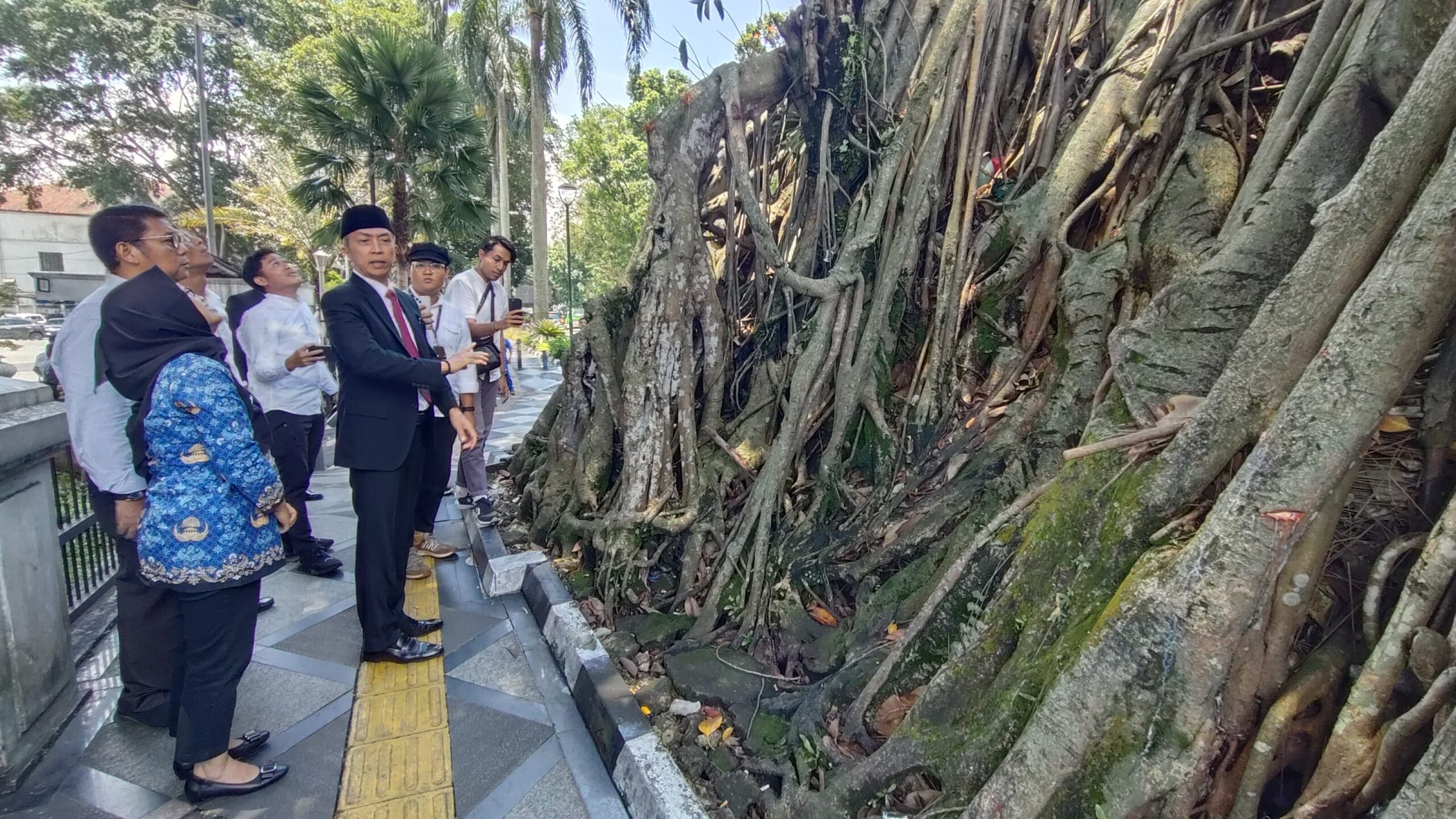 Dedie Rachim Soroti Pohon Karet Kebo yang Sudah Berusia 70 Tahun Berpotensi Membahayakan scaled