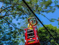 Pemkot Bogor Genjot Penataan Kabel Udara, Realisasi Masih 28 Persen