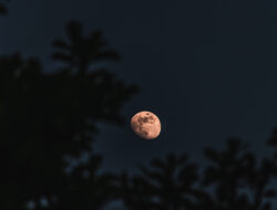 Supermoon Terbesar Tahun Ini Siap Hiasi Langit Indonesia