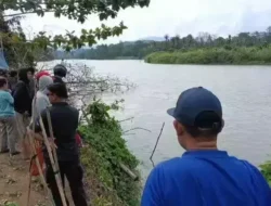 Tragis, Warga Wanggudu Diterkam Buaya Saat Cuci Sarung di Sungai