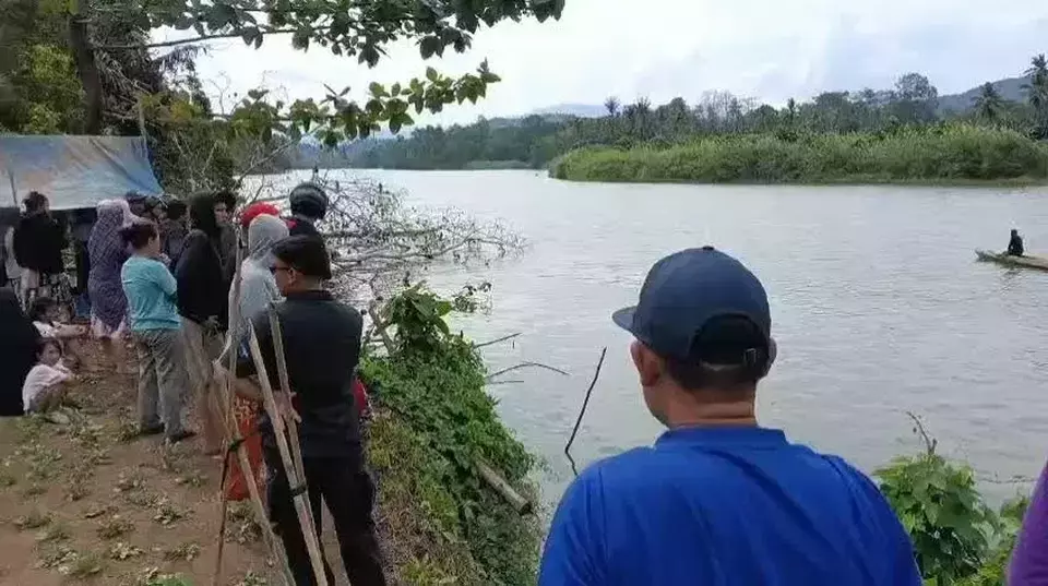 diterkam buaya