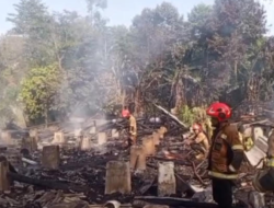 10.000 Ayam Broiler Terbakar dalam Kebakaran Kandang di Sumedang
