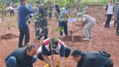 Kolaborasi Bareng PMC, Kecamatan Bojonggede Tanam Pohon di Jalur Bomang
