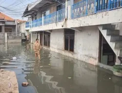 BMKG Keluarkan Peringatan Dini Banjir ROB, Warga di Pesisir Jawa Timur Diminta Waspada