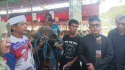 Jelang Idul Adha Stok Hewan Kurban di Bogor Aman, Dipastikan Sehat dan Bebas Penyakit