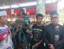 Jelang Idul Adha Stok Hewan Kurban di Bogor Aman, Dipastikan Sehat dan Bebas Penyakit