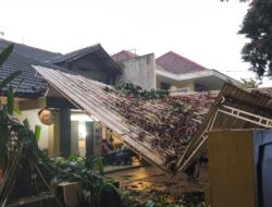 Pohon Tumbang di Kota Bogor Kembali Terjadi, Kafe Lorong Temu Rusak Parah