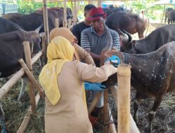 H-1 Idul Adha, DKPP Kota Bogor Pastikan Hewan Kurban di Enam Kecamatan Sehat dan Layak