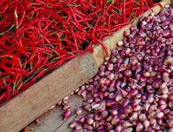 Pasca Idul Adha Harga Cabai dan Bawang Meroket
