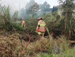 Dipicu Cuaca Panas, Padang Ilalang di Sindangsari Bogor Terbakar