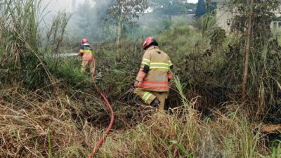 Dipicu Cuaca Panas, Padang Ilalang di Sindangsari Bogor Terbakar 9 WhatsApp Image 2026 06 09 at 18.42.51