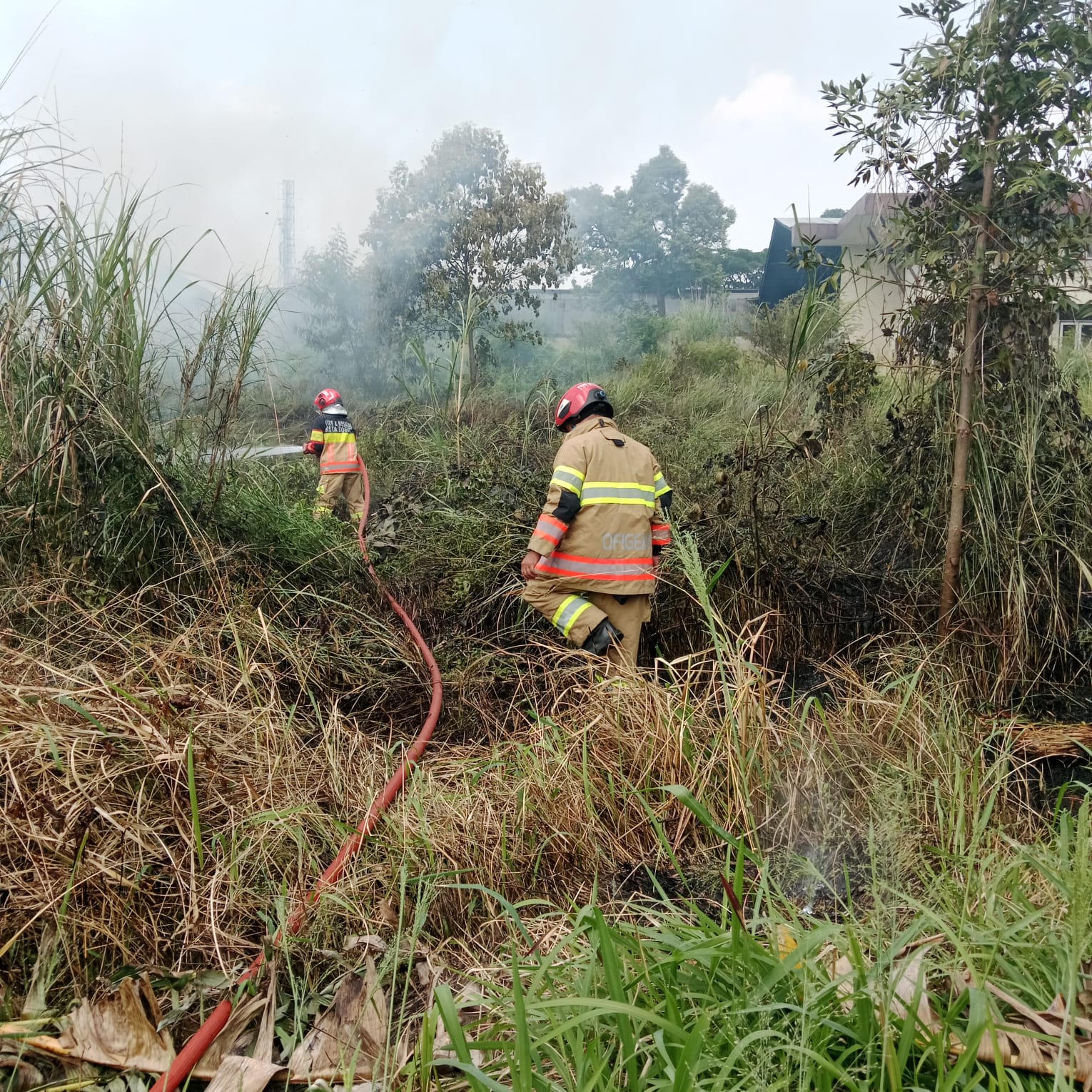 Dipicu Cuaca Panas, Padang Ilalang di Sindangsari Bogor Terbakar 1 WhatsApp Image 2026 06 09 at 18.42.51