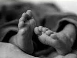 Kasus Kematian Bayi akibat Defisiensi Vitamin K Jadi Pengingat Pentingnya Pencegahan Sejak Lahir