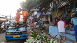 Hujan Deras di Bogor Utara, Pohon 8 Meter Tumbang Timpa Angkot dan Kios