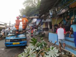 Hujan Deras di Bogor Utara, Pohon 8 Meter Tumbang Timpa Angkot dan Kios