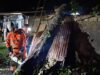 BPBD Kota Bogor Catat Dua Kejadian Pohon Tumbang Akibat Cuaca Ekstrem