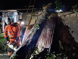 BPBD Kota Bogor Catat Dua Kejadian Pohon Tumbang Akibat Cuaca Ekstrem