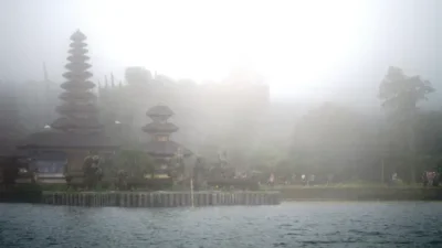 dsc 0101