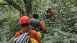Pendaki Gunung Semeru Jatuh ke Jurang Sedalam 375 Meter, Evakuasi Berlangsung Dramatis