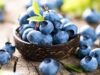 Blueberry Berpotensi Bantu Mencegah Osteoporosis, Ini Kata Peneliti