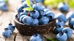 Blueberry Berpotensi Bantu Mencegah Osteoporosis, Ini Kata Peneliti