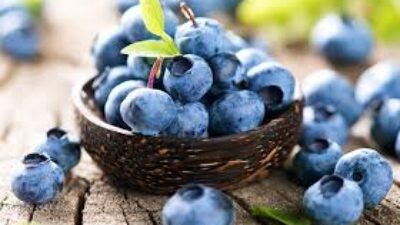 Blueberry Berpotensi Bantu Mencegah Osteoporosis, Ini Kata Peneliti