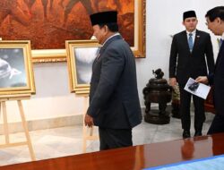 Diberi Nama oleh Presiden Prabowo, Bayi Panda ‘Rio’ Jadi Simbol Eratnya Hubungan RI-China
