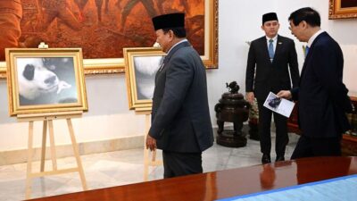 Diberi Nama oleh Presiden Prabowo, Bayi Panda ‘Rio’ Jadi Simbol Eratnya Hubungan RI-China