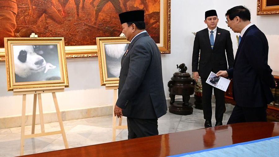 Diberi Nama oleh Presiden Prabowo, Bayi Panda 'Rio' Jadi Simbol Eratnya Hubungan RI-China 1 presiden prabowo subianto menerima kunjungan ketua mpr rrt wang huning di istana negara jakarta kamis 4122025 1764844280583 169