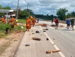 Horor! Bocah 11 Tahun Tabrak Rombongan Biksu di Thailand, Sembilan Tewas
